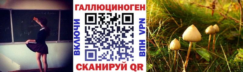 Галлюциногенные грибы Cubensis  Купить закладки  Переславль-Залесский 