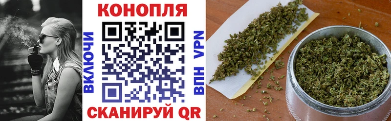 Купить закладки  Переславль-Залесский  Бошки Шишки Ganja 